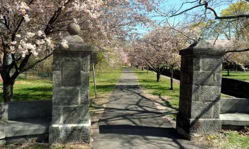 Nutley Family Service